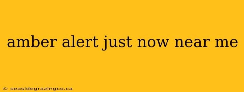 amber alert just now near me