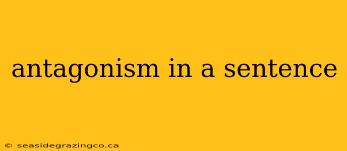 antagonism in a sentence