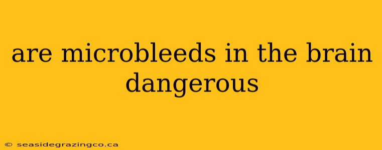 are microbleeds in the brain dangerous