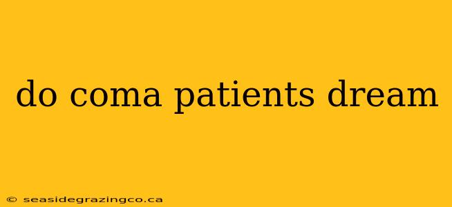 do coma patients dream