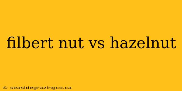 filbert nut vs hazelnut