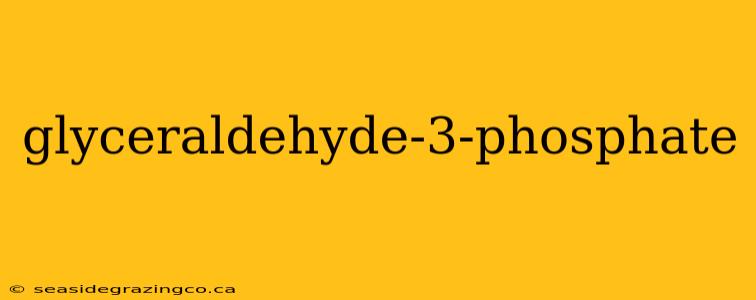 glyceraldehyde-3-phosphate