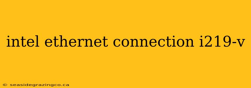 intel ethernet connection i219-v