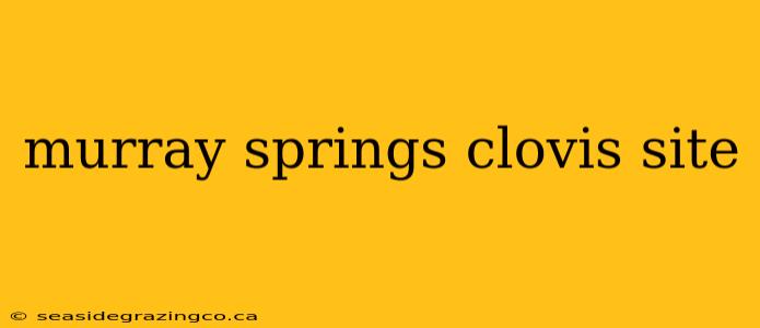 murray springs clovis site