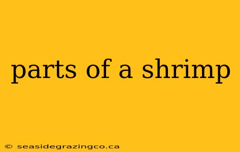parts of a shrimp