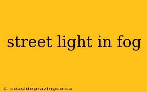 street light in fog