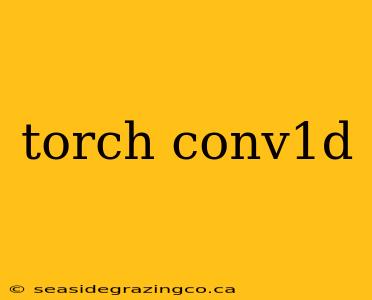 torch conv1d